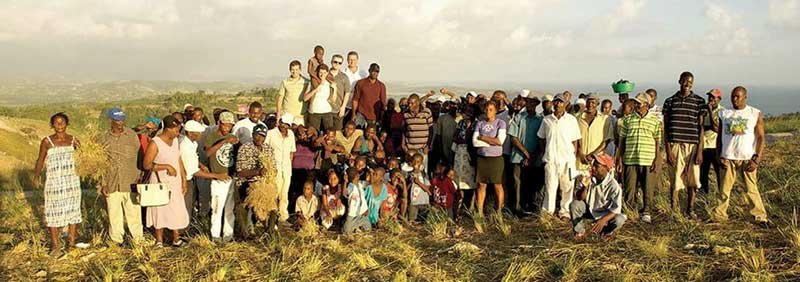 doterra óleo essencial