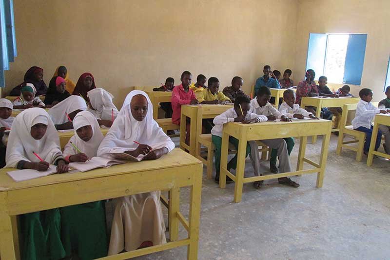 doterra óleo essencial