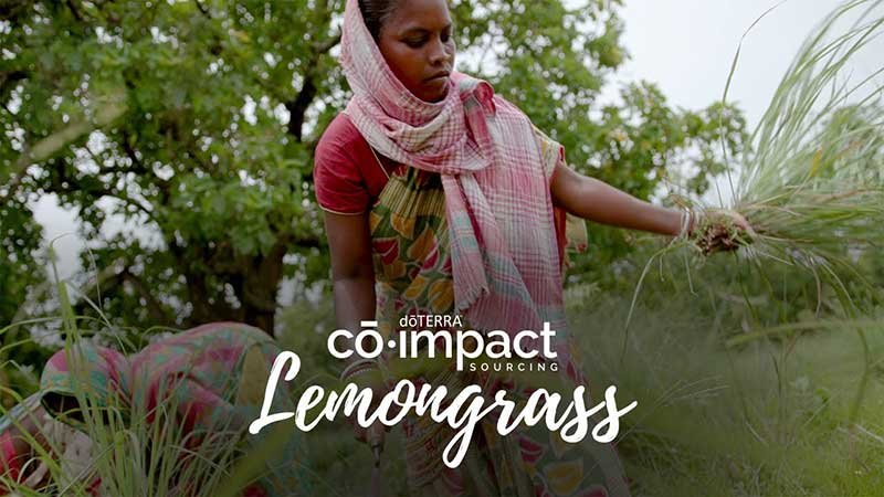 doterra óleo essencial